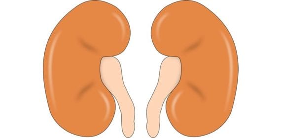 Kidney Cancer: Prevent & Diagnose Early